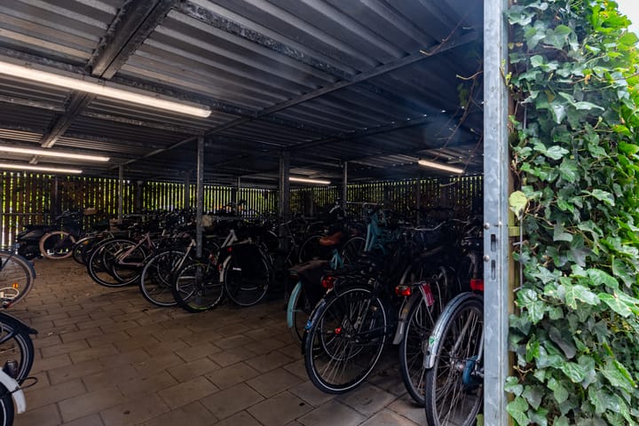 Foto 16 van Rottumeroog 224