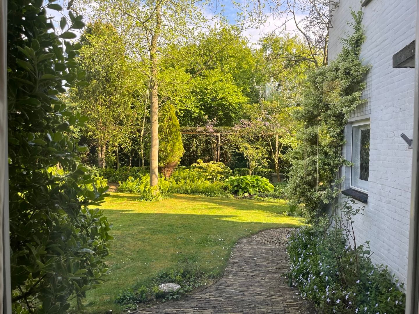 Foto 4 van Sprencklaan 1