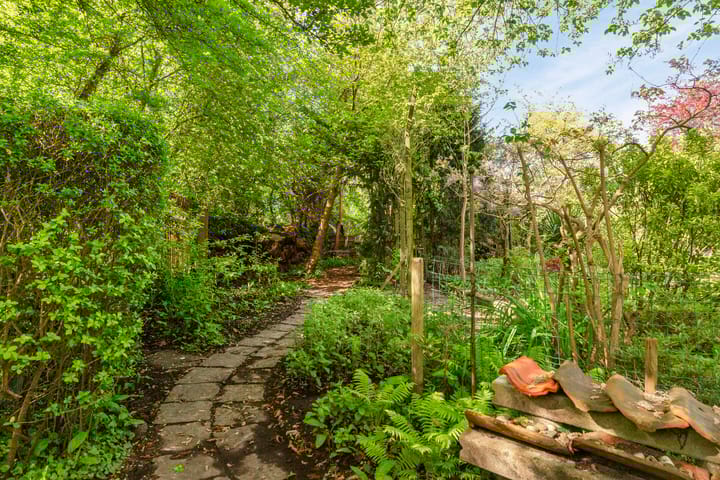 Foto 36 van Sprencklaan 1