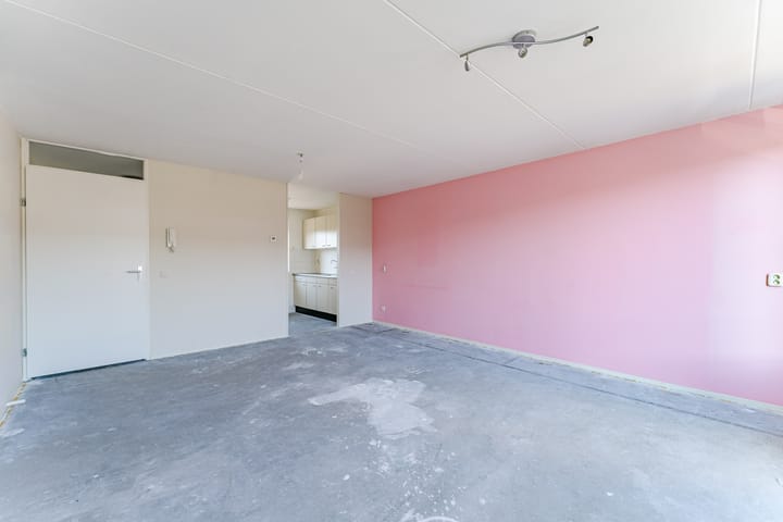 Foto 10 van Galjoen 41