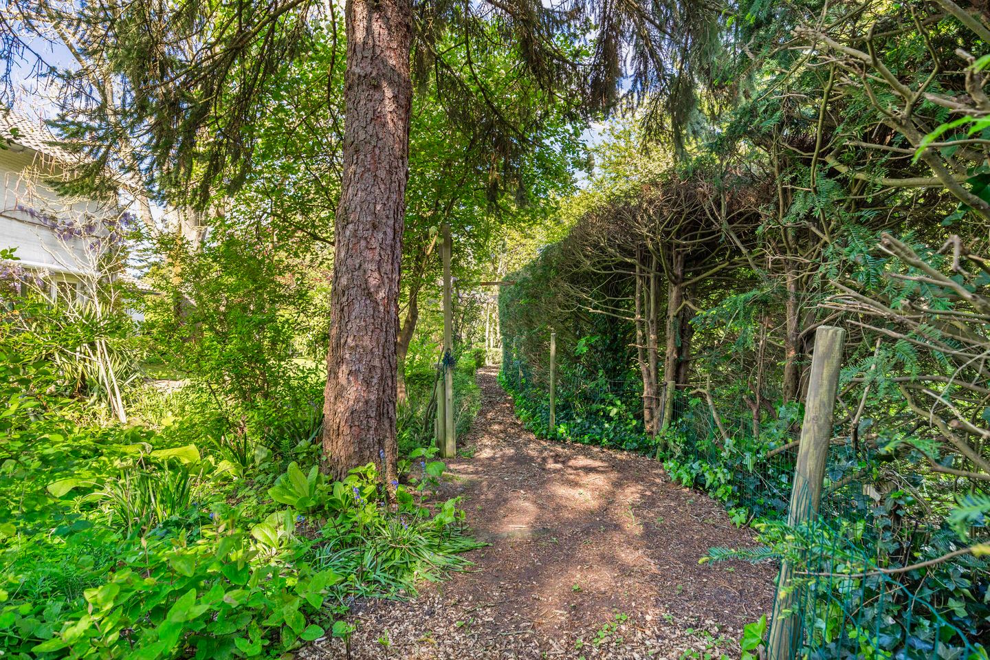 Foto 40 van Sprencklaan 1