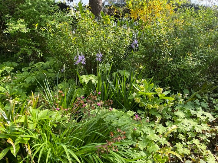 Foto 42 van Sprencklaan 1