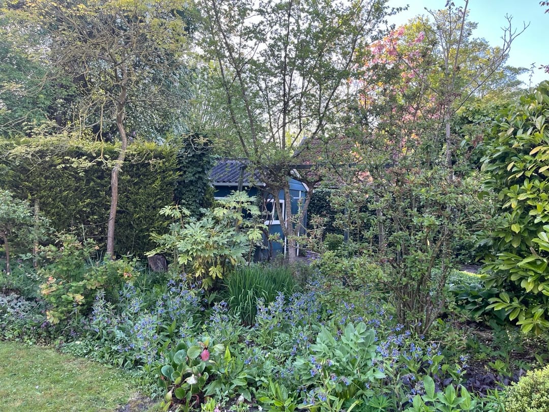 Foto 43 van Sprencklaan 1