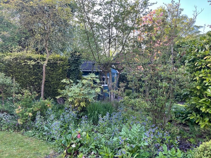 Foto 43 van Sprencklaan 1