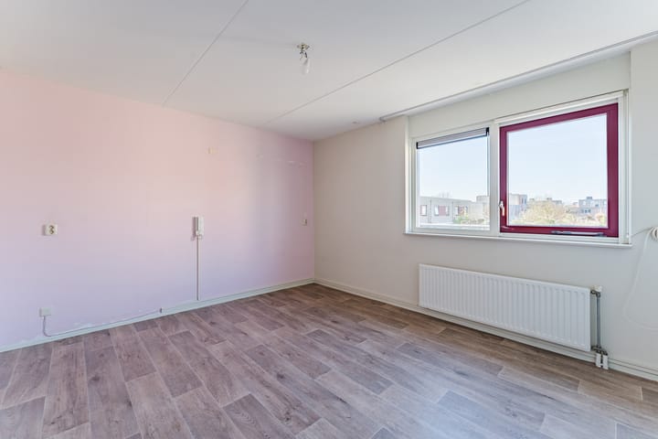 Foto 14 van Galjoen 41