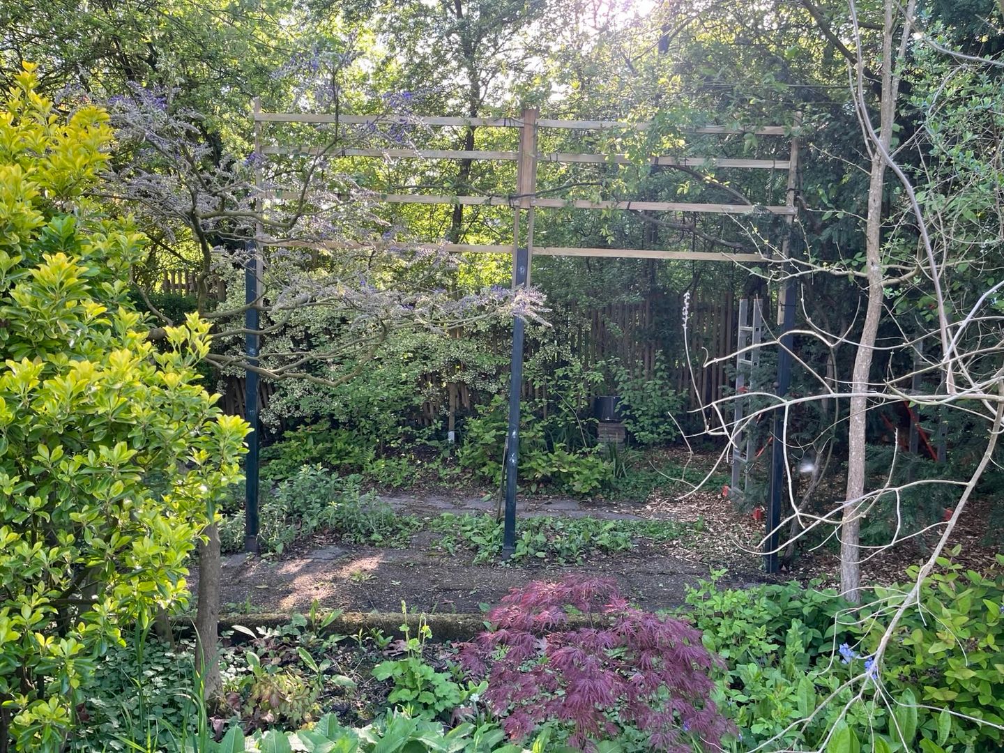 Foto 44 van Sprencklaan 1