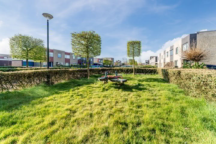 Foto 32 van Galjoen 41