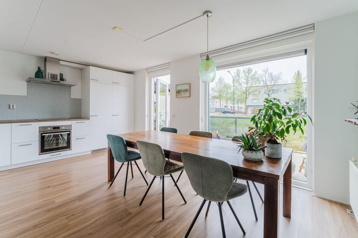 Foto 4 van Kikkerbeet 7