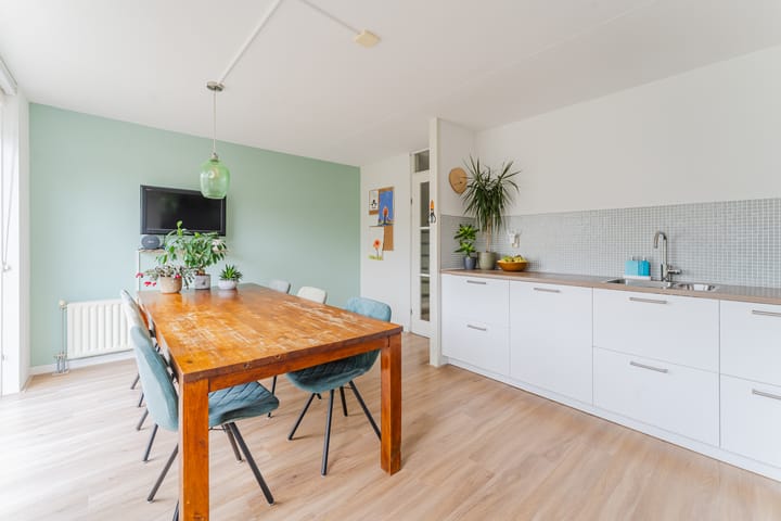 Photo 7 of Kikkerbeet 7