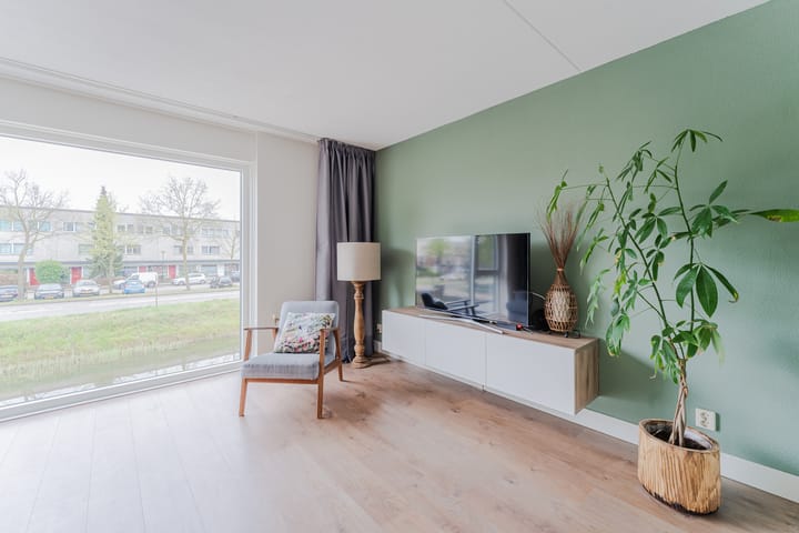 Photo 12 of Kikkerbeet 7