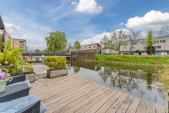 Photo 40 of Kikkerbeet 7