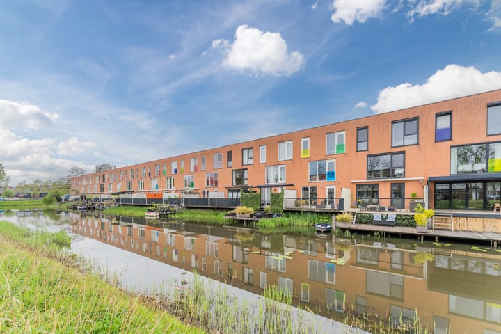 Photo 47 of Kikkerbeet 7