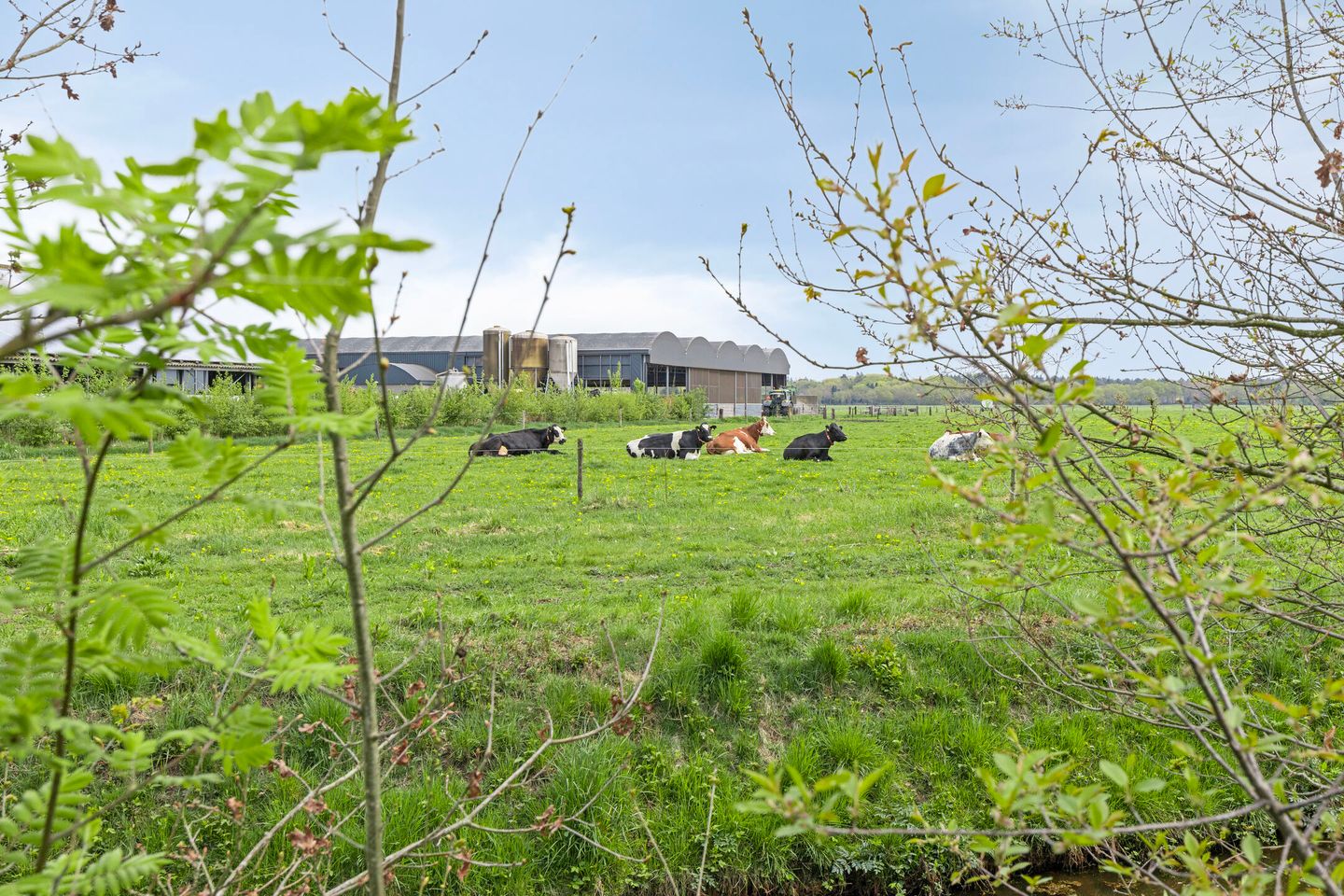 Foto 34 van Toermalijndijk 67