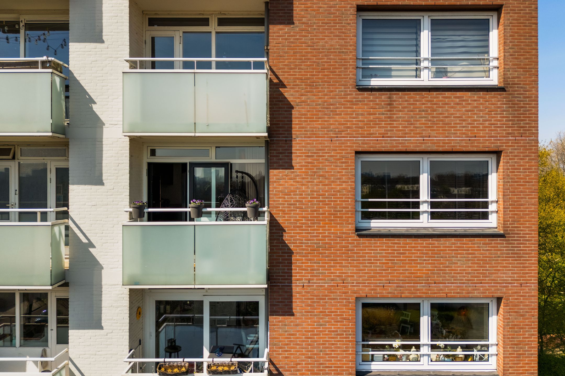 Photo 36 of Dierenriem 102