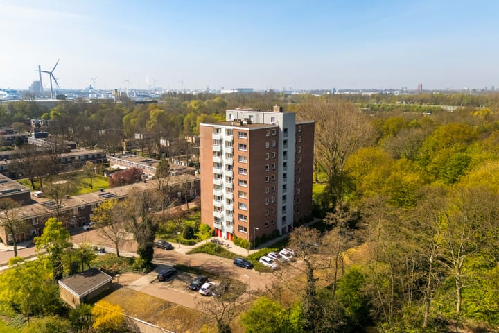 Foto 1 van Dierenriem 102