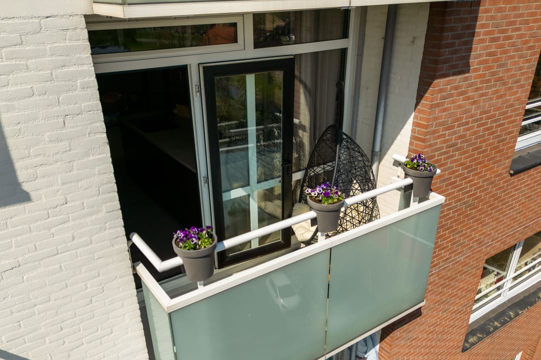 Photo 37 of Dierenriem 102