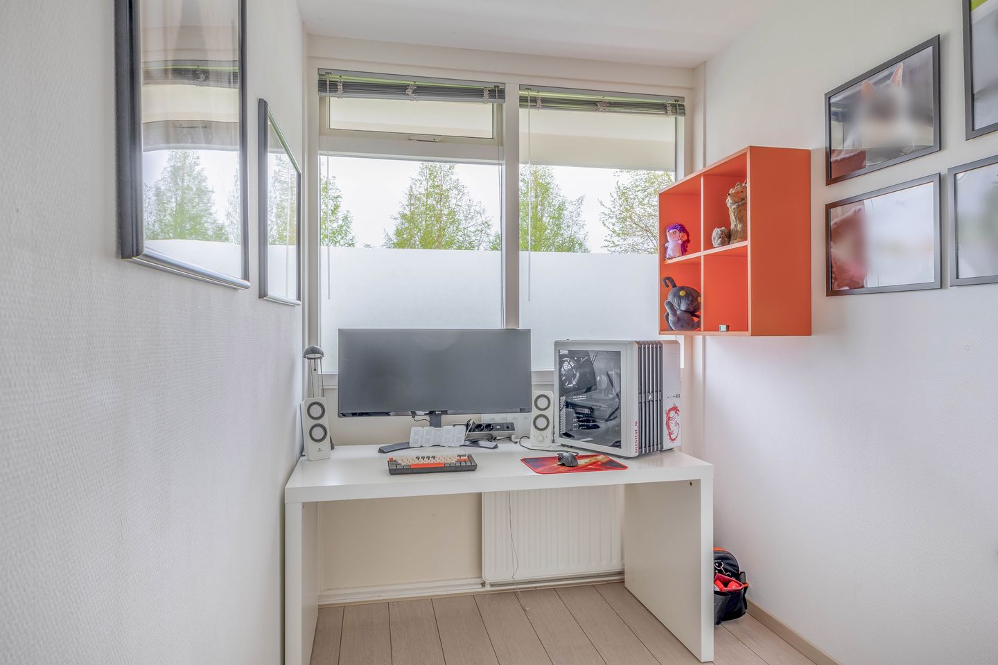 Foto 4 van Anatole Franceplaats 380