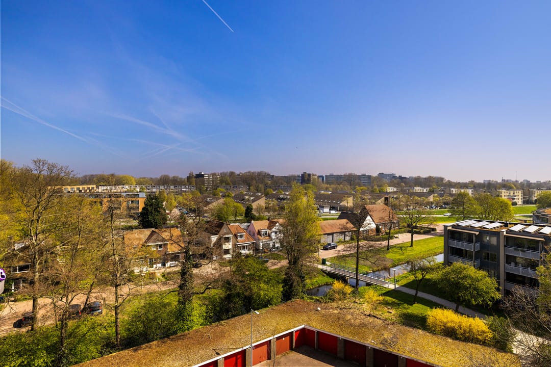 Photo 41 of Dierenriem 102