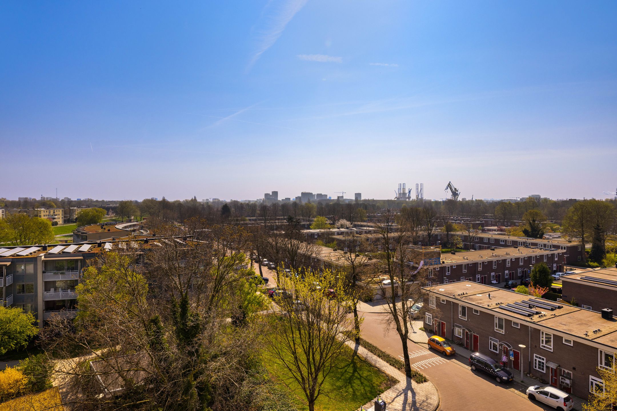 Photo 42 of Dierenriem 102