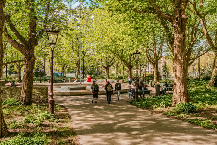 Foto 24 van Hemonystraat 35-4