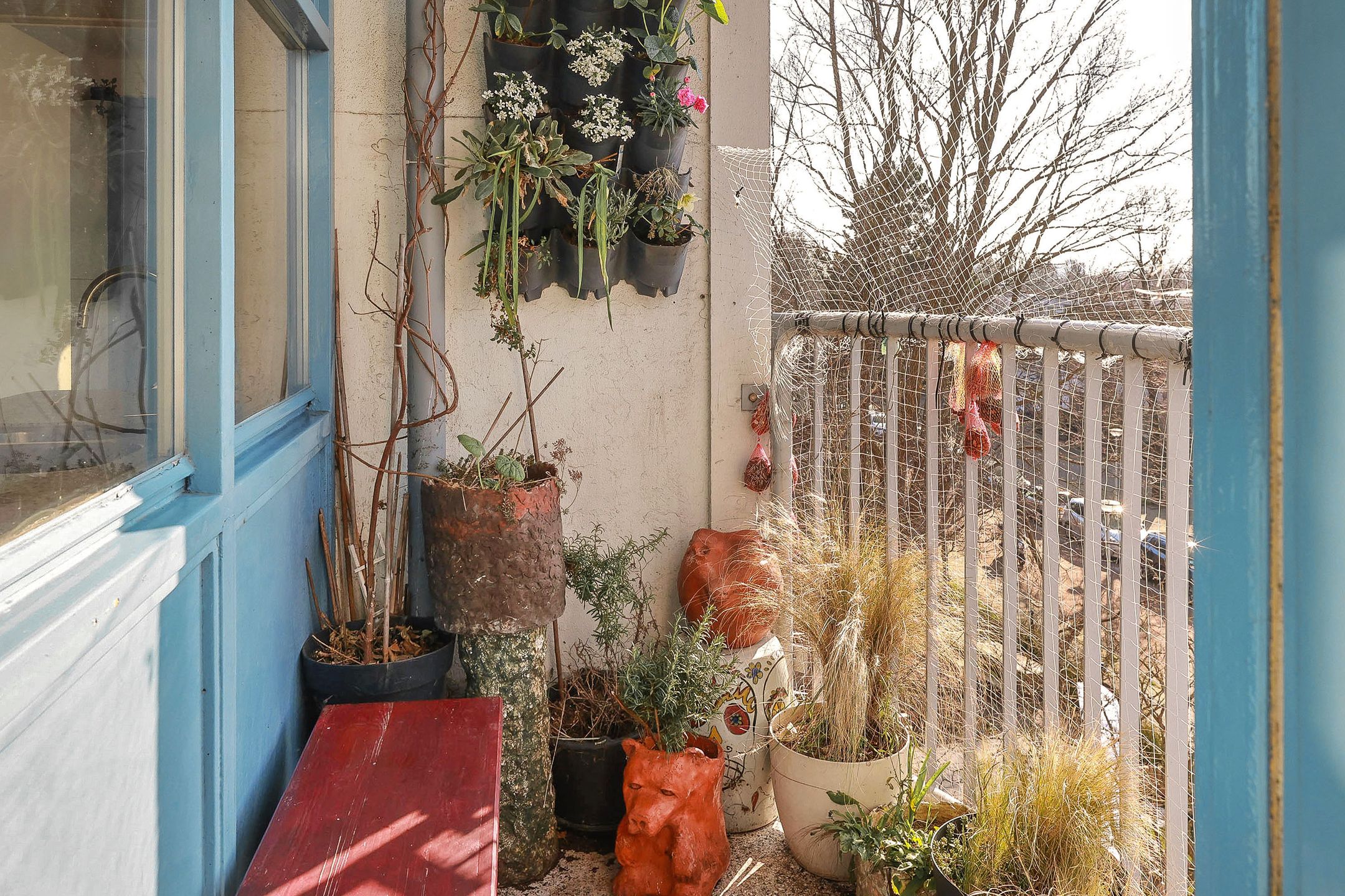 Foto 9 van Harry Koningsbergerstraat 146