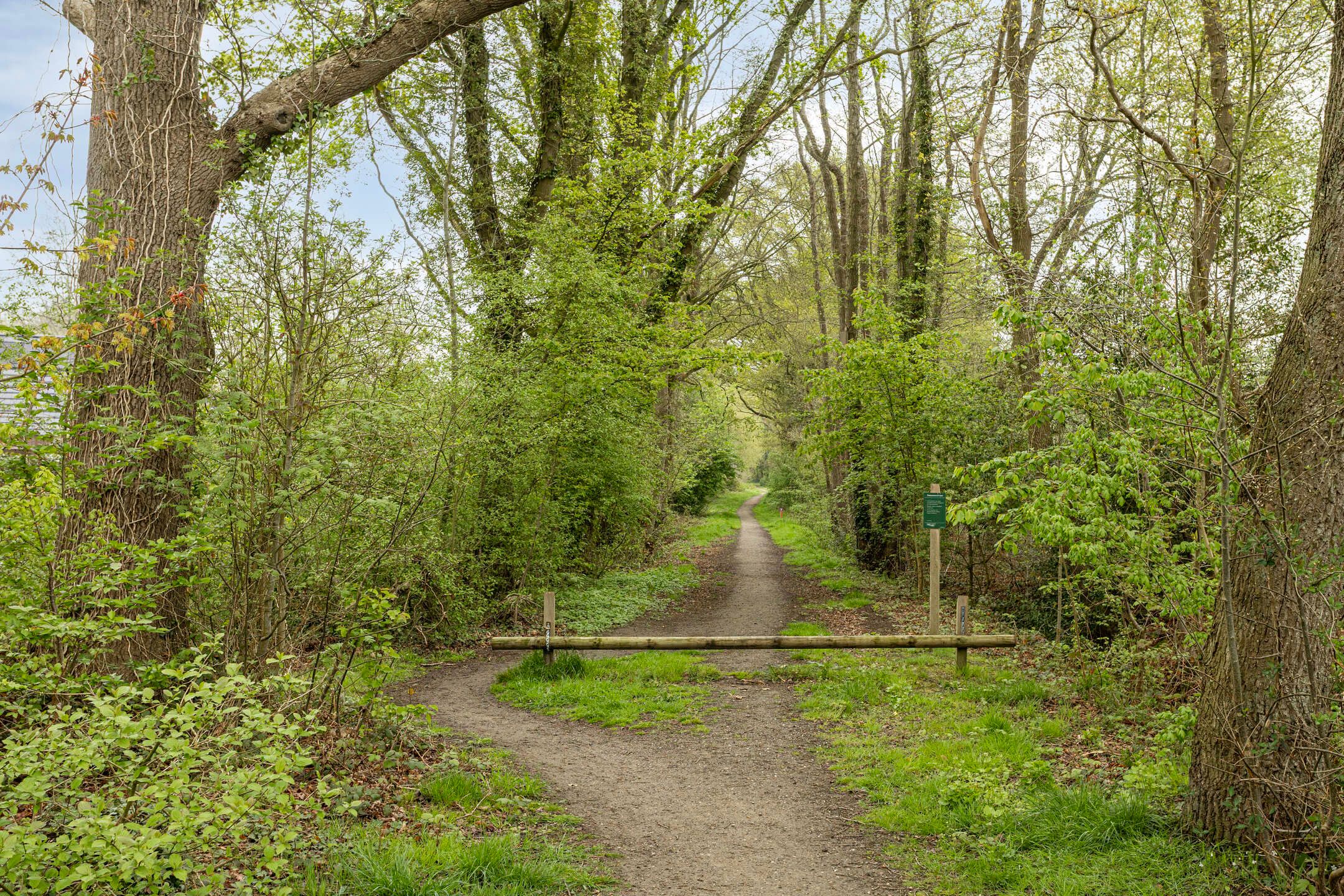 Photo 72 of Elfenbank 17