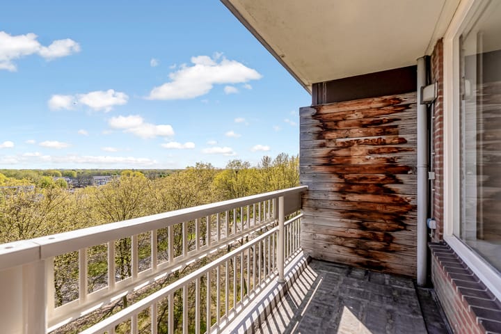 Foto 14 van Lisztgaarde 212