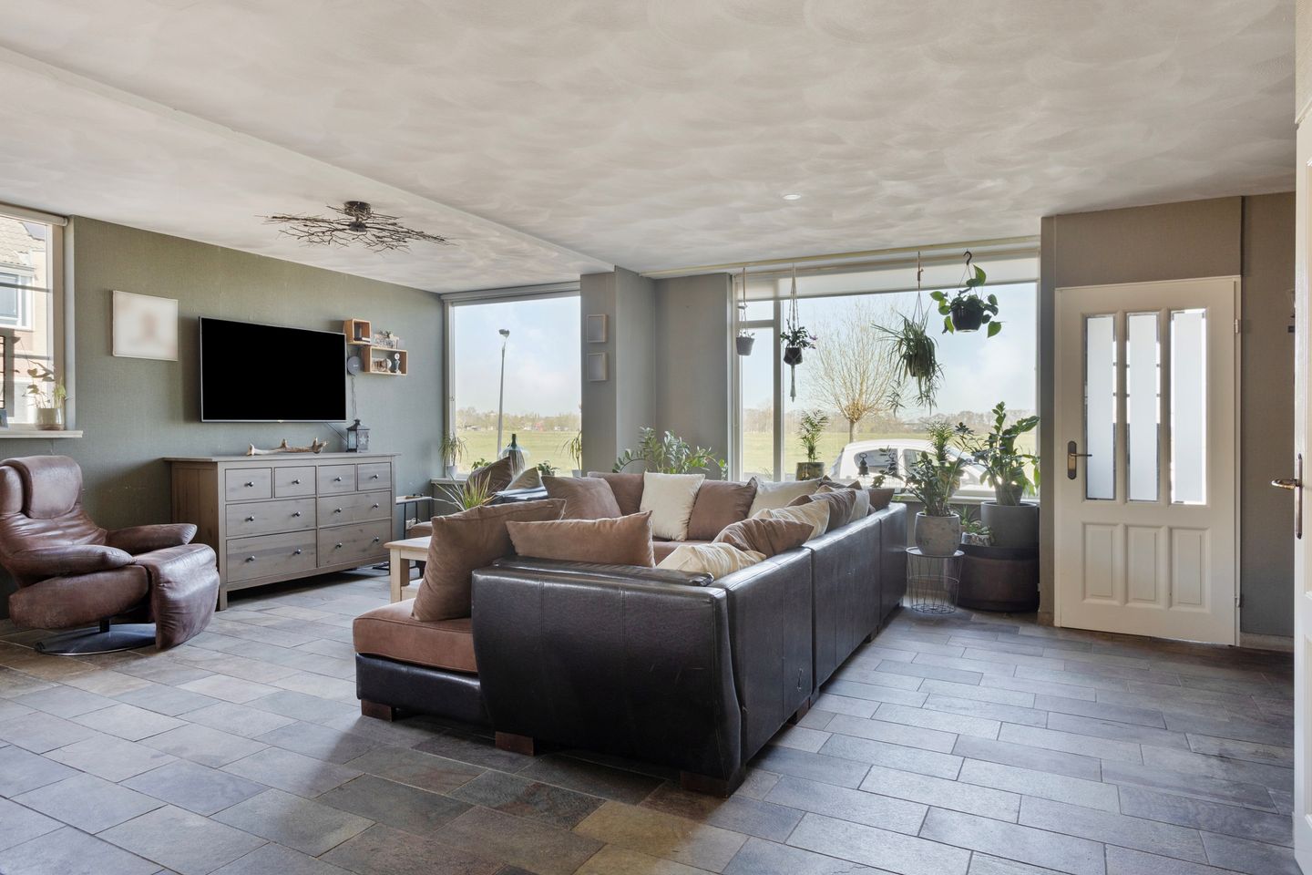 Photo 5 of Weegbree 20