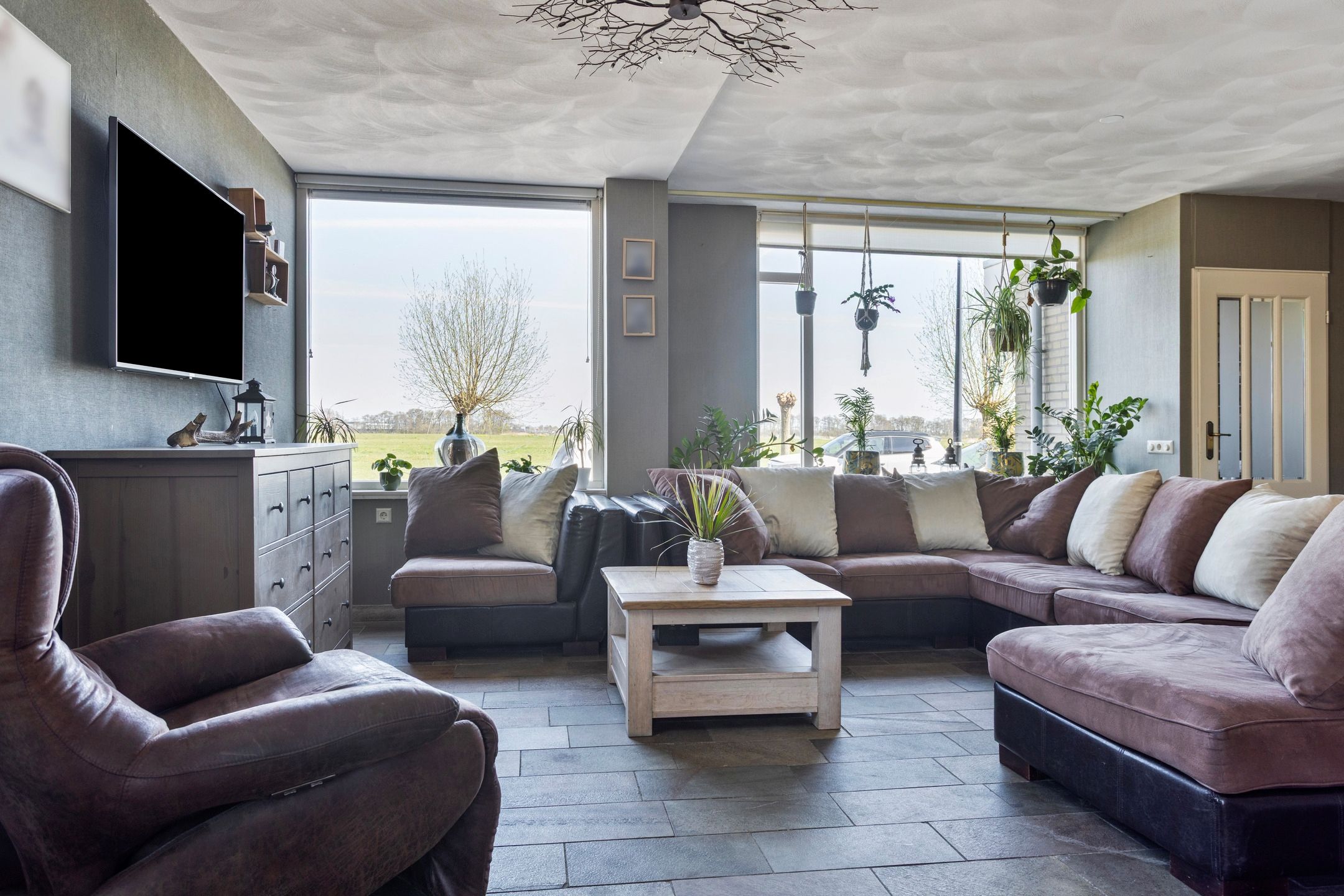 Photo 6 of Weegbree 20