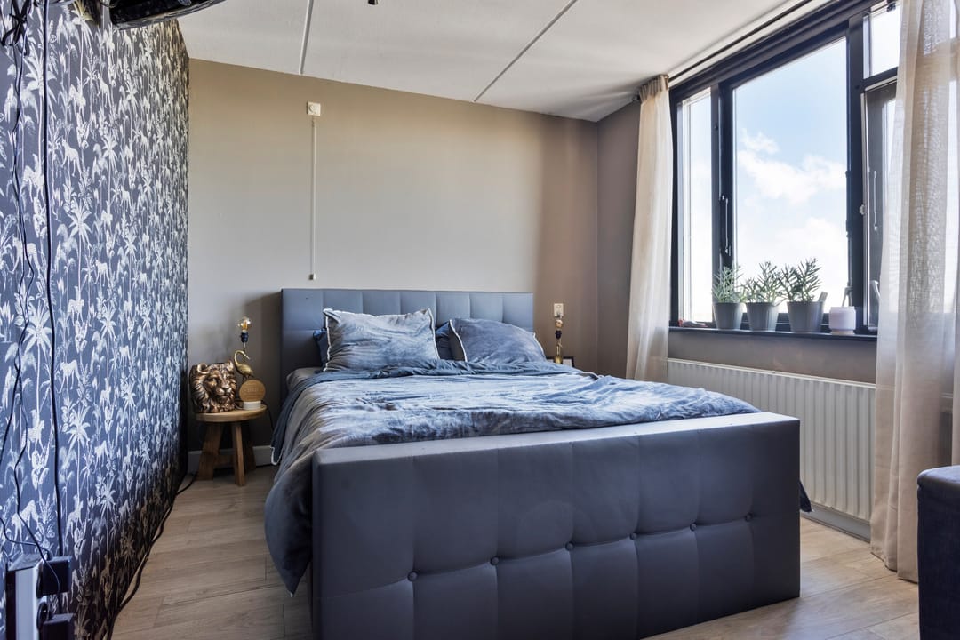 Photo 13 of Weegbree 20