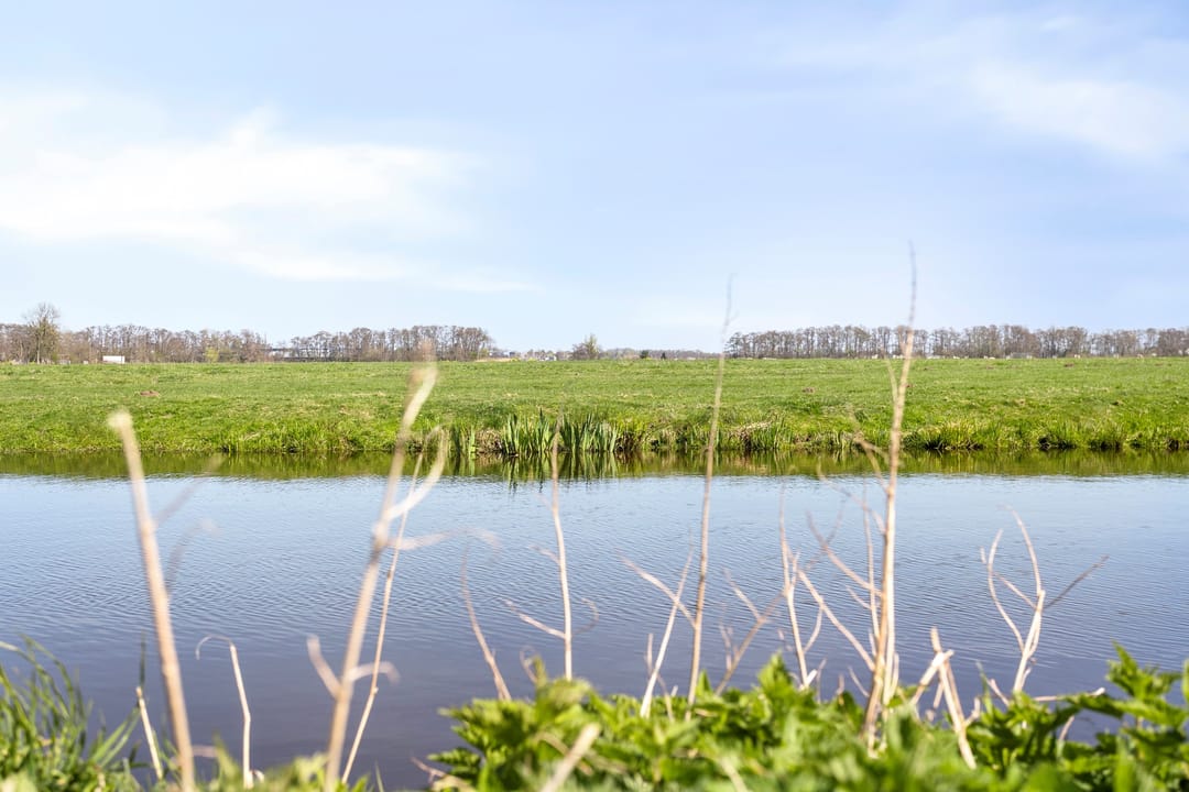 Photo 28 of Weegbree 20