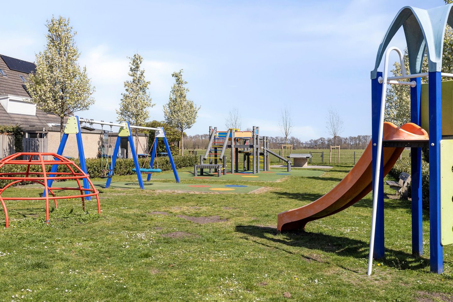 Photo 29 of Weegbree 20