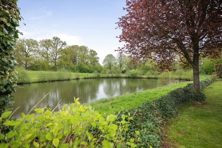 Foto 37 van de Schaapvijver 11