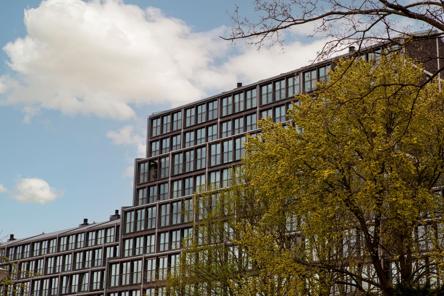 Foto 20 van Entrepotdok 195