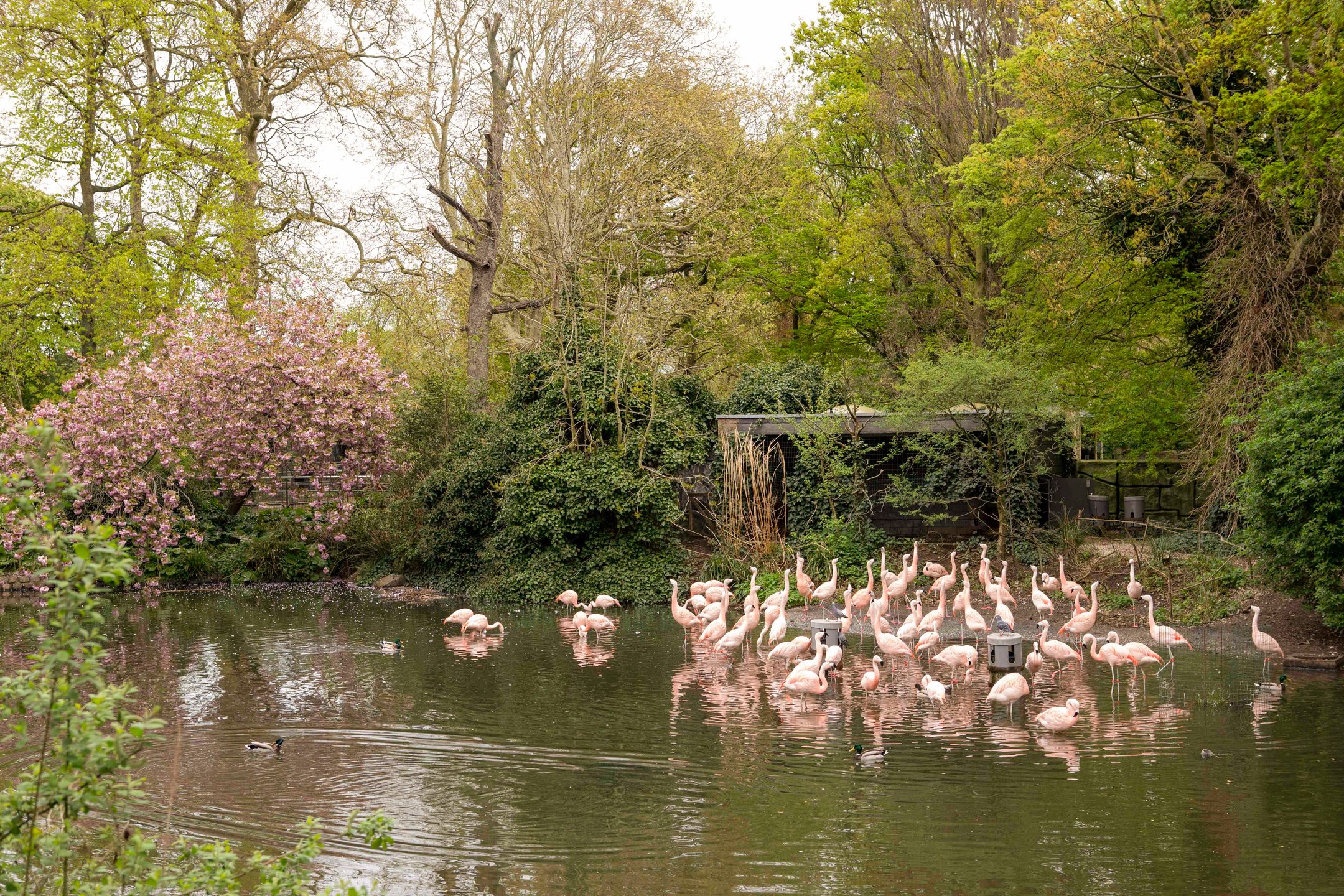 Foto 33 van Entrepotdok 195