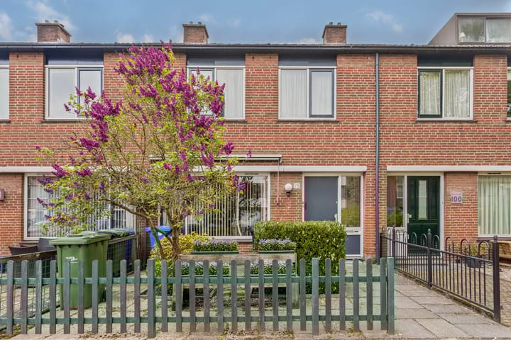 Foto 1 van Bolkruid 98