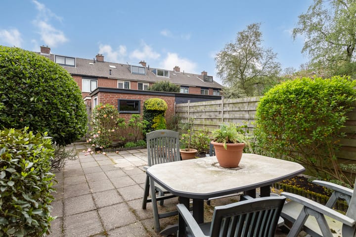 Foto 5 van Bolkruid 98