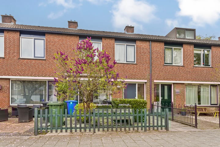 Foto 7 van Bolkruid 98