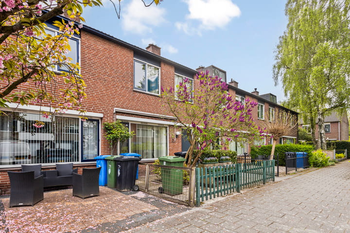 Foto 8 van Bolkruid 98