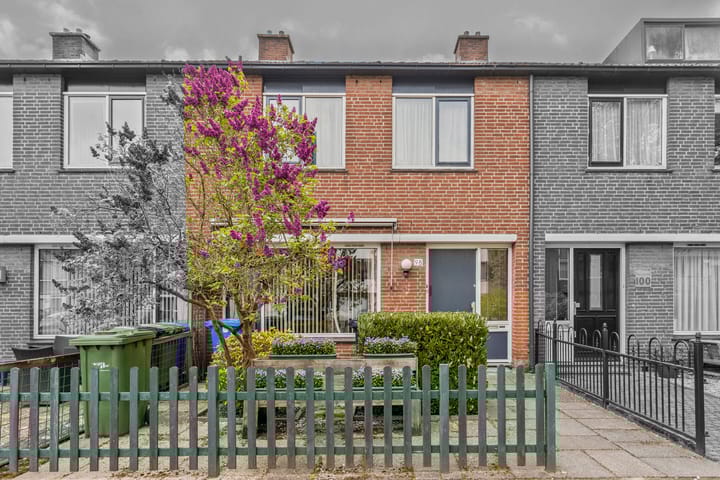 Foto 9 van Bolkruid 98