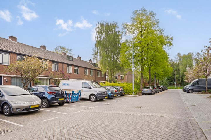 Foto 10 van Bolkruid 98