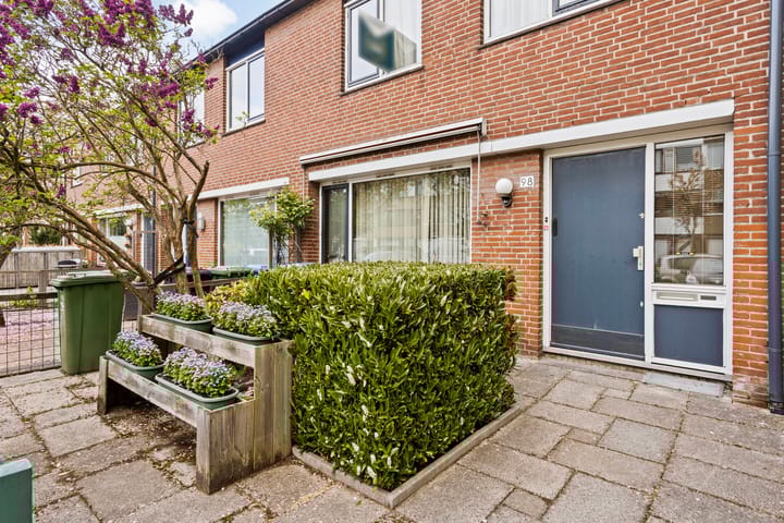 Foto 11 van Bolkruid 98