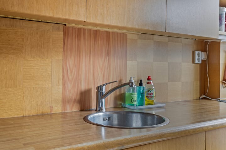 Foto 18 van Bolkruid 98