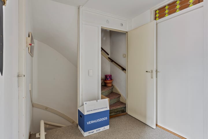 Foto 20 van Bolkruid 98