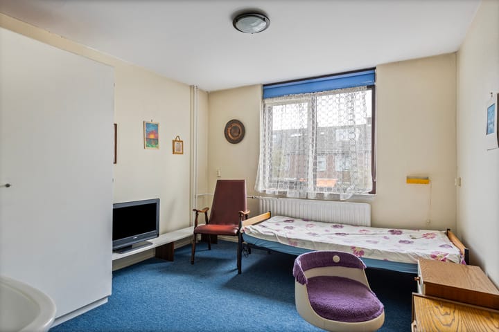 Foto 21 van Bolkruid 98