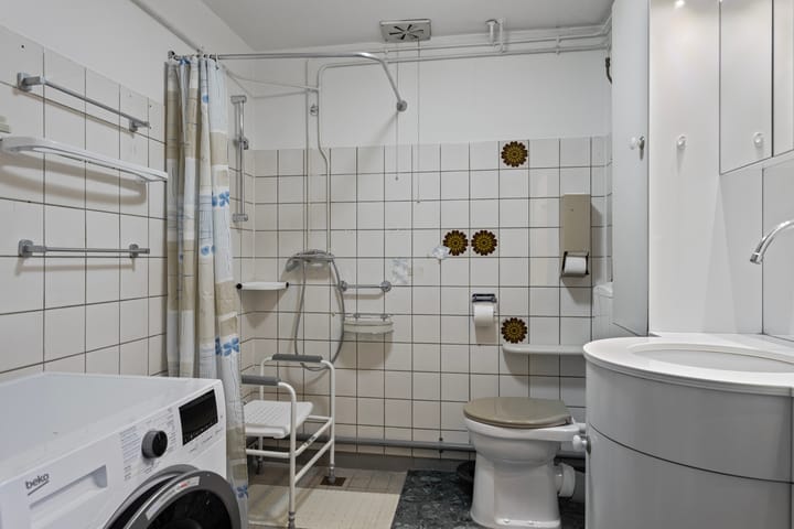 Foto 23 van Bolkruid 98