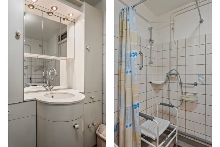 Foto 24 van Bolkruid 98