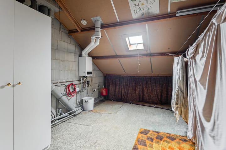 Foto 28 van Bolkruid 98