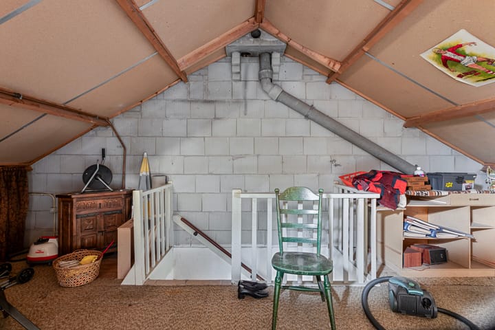 Foto 29 van Bolkruid 98