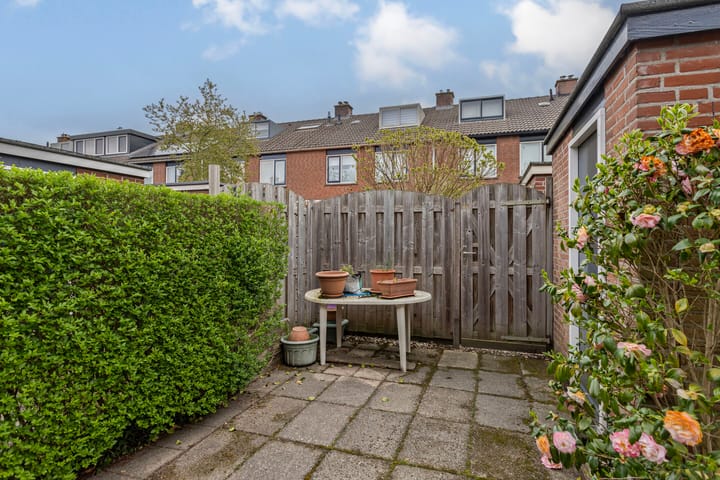 Foto 32 van Bolkruid 98